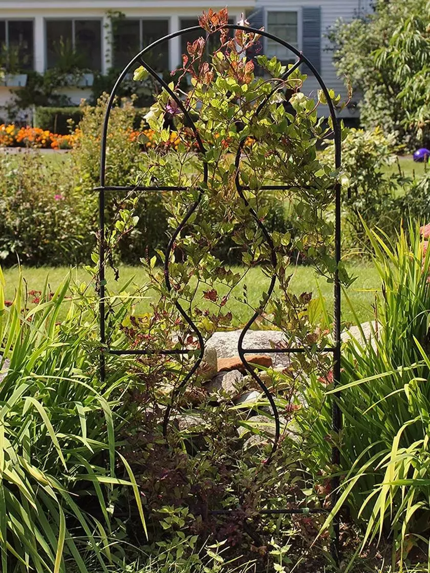 GSC Achla Designs Orangery Trellis 3 GSC Achla Designs Orangery Trellis