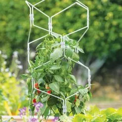 GSC Gardener's Vertex Lifetime Pepper And Eggplant Cage