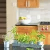 GSC Galvanized Organic Kitchen Herbs Growing Kit -Plant Supports Shop 8599579 13449 tif