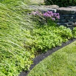 GSC Recycled Rubber Mulch Edging, 12’ X 6” -Plant Supports Shop 8599854 0897 tif