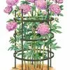 GSC Titan Peony Supports, Large, Set Of 2 2 GSC Titan Peony Supports, Large, Set Of 2 -Plant Supports Shop 8599857 0001 art tif