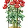 GSC Titan Peony Supports, Medium, Set Of 2 -Plant Supports Shop 8599858 0001 art tif