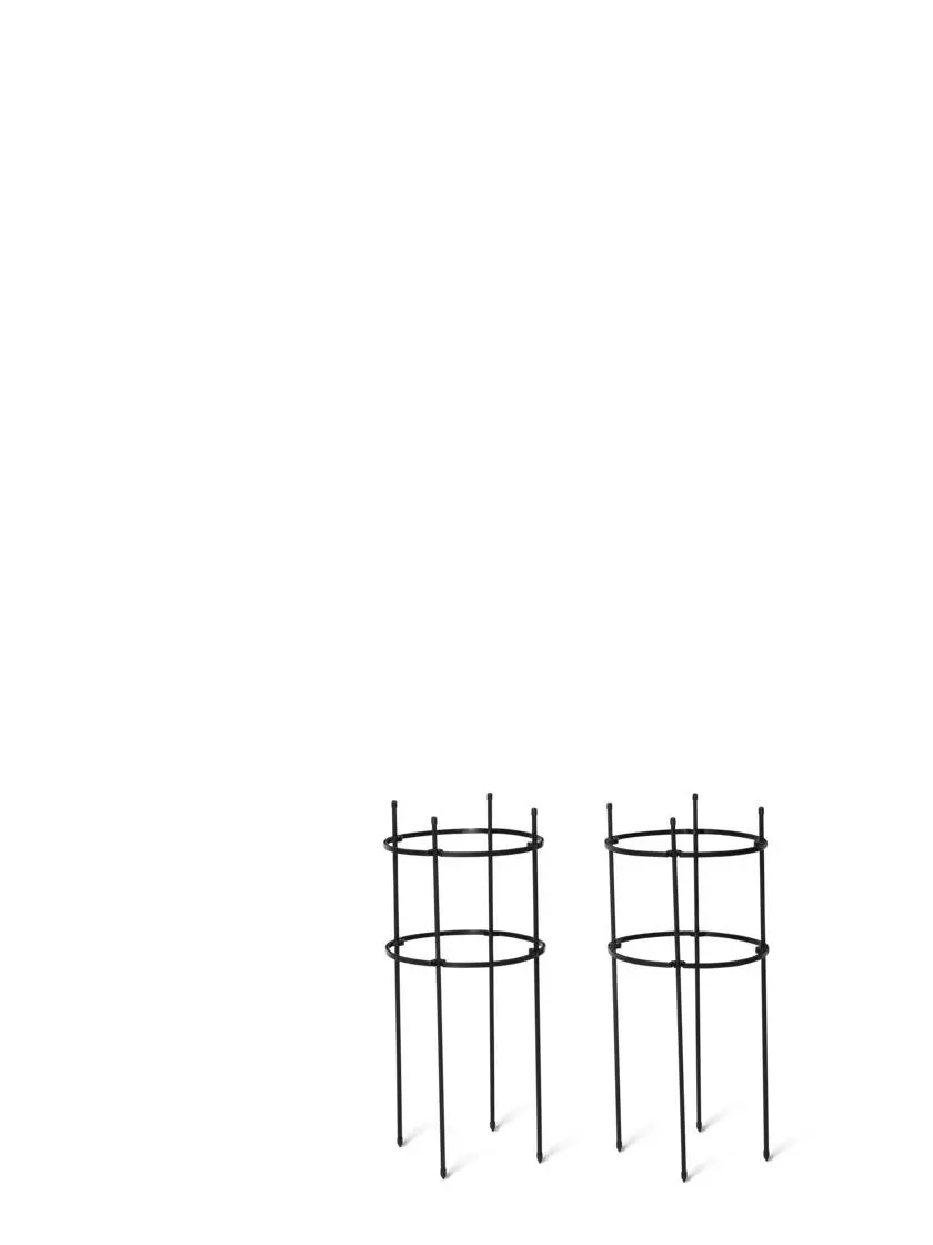GSC Titan Peony Supports, Medium, Set Of 2 4 GSC Titan Peony Supports, Medium, Set Of 2 - Image 2