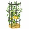 GSC Titan Pepper Eggplant Cages, Set Of 3 2 GSC Titan Pepper Eggplant Cages, Set Of 3 -Plant Supports Shop 8599859 0001 art tif