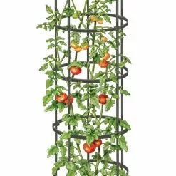 GSC Titan Tall Tomato Cages, Set Of 3 -Plant Supports Shop 8599860 0002 art tif