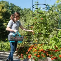 Plant Supports Shop 23 GSC Titan Tall Tomato Cages, Set Of 3