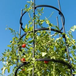 GSC Titan Tall Tomato Cages, Set Of 3 -Plant Supports Shop 8599860 0066 tif