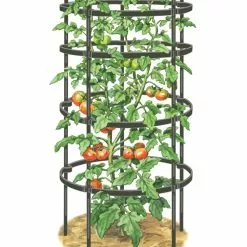 GSC Titan Tomato Cages, Set Of 3 13 GSC Titan Tomato Cages, Set Of 3 -Plant Supports Shop 8599861 0001 art tif
