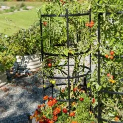 GSC Titan Tomato Cages, Set Of 3
