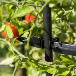 GSC Titan Tomato Cages, Set Of 3 15 GSC Titan Tomato Cages, Set Of 3 -Plant Supports Shop 8599861 0079 tif 1