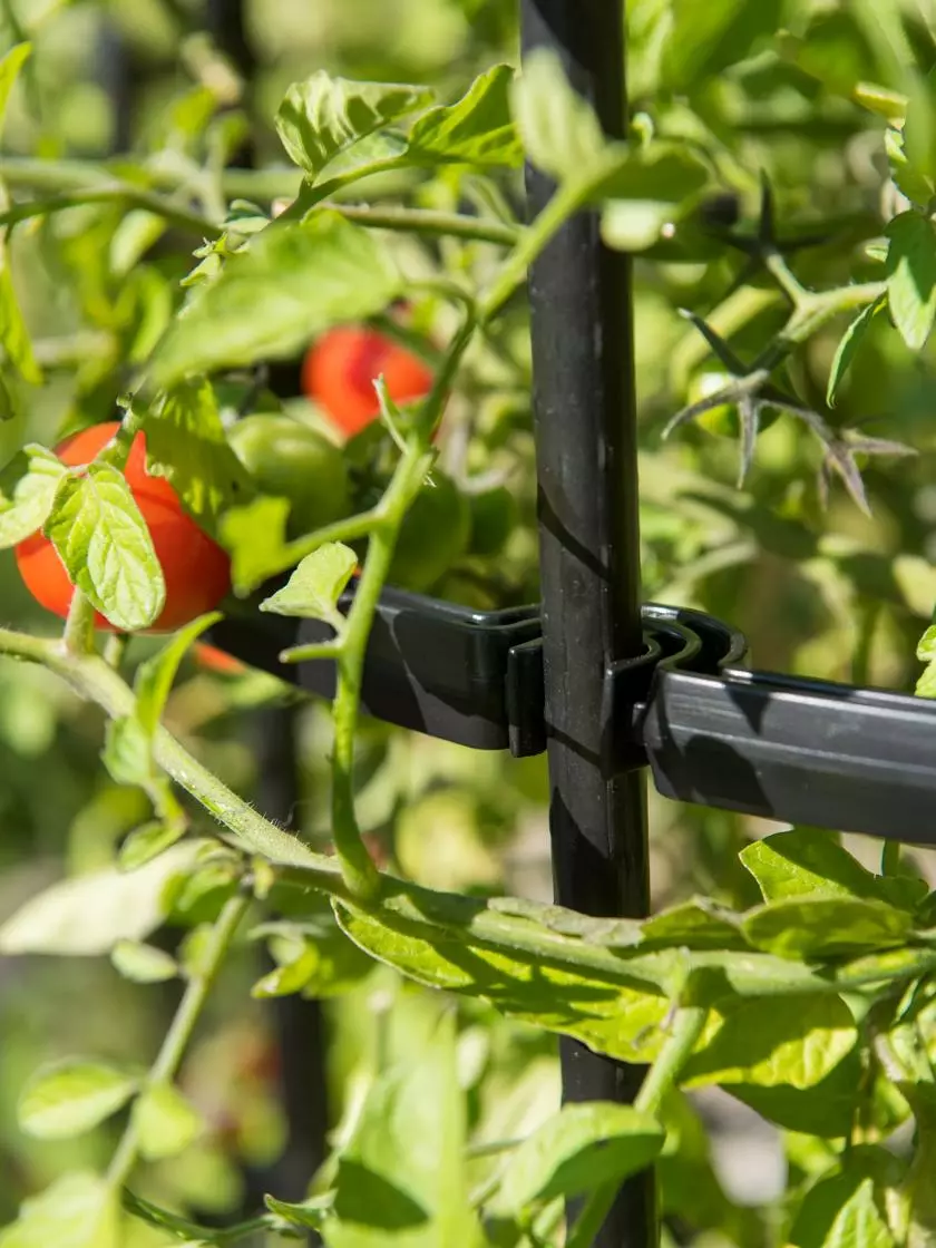 GSC Titan Tomato Cages, Set Of 3 9 GSC Titan Tomato Cages, Set Of 3 - Image 7