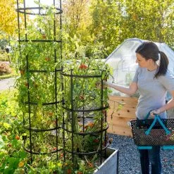 GSC Titan Tomato Cages, Set Of 3 11 GSC Titan Tomato Cages, Set Of 3 -Plant Supports Shop 8599861 0114 tif