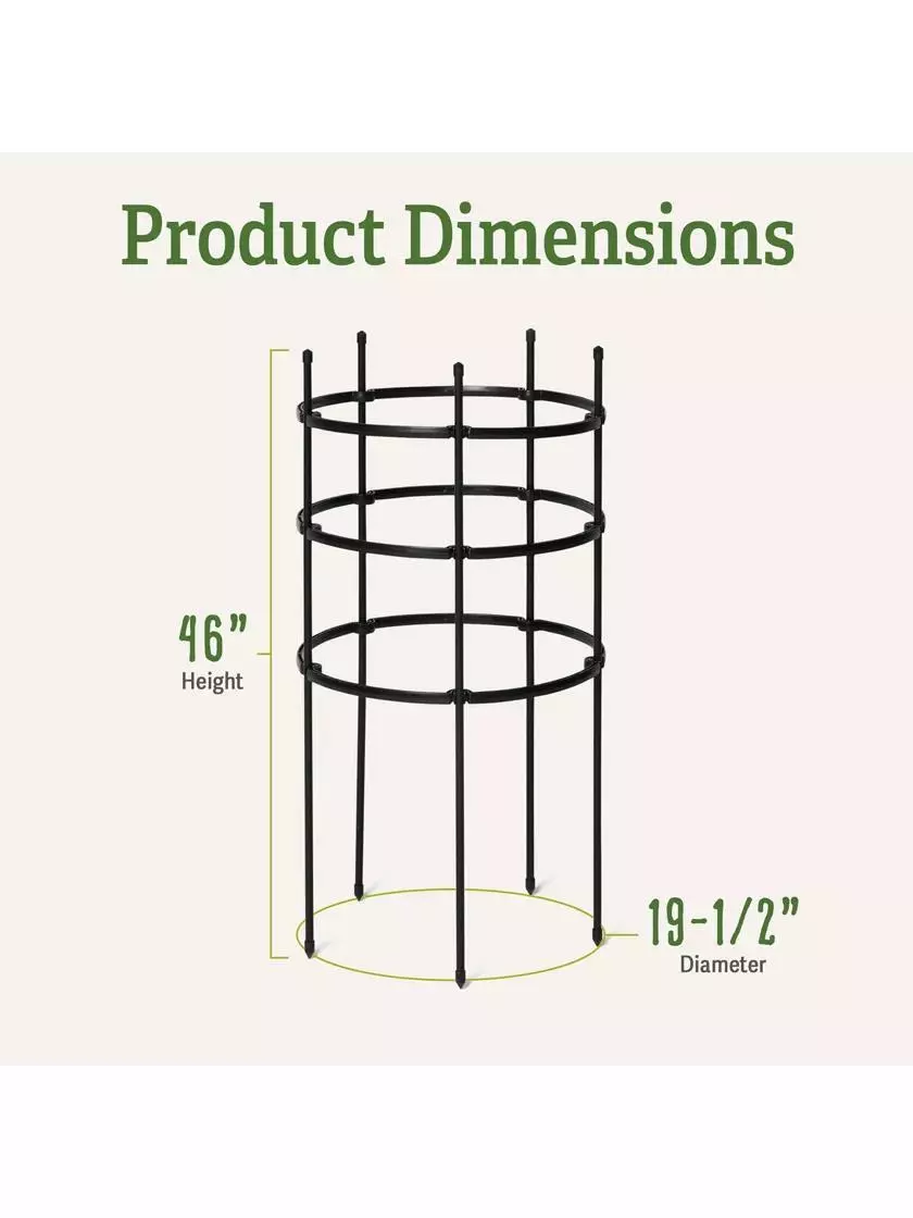 GSC Titan Tomato Cages, Set Of 3 6 GSC Titan Tomato Cages, Set Of 3 - Image 4
