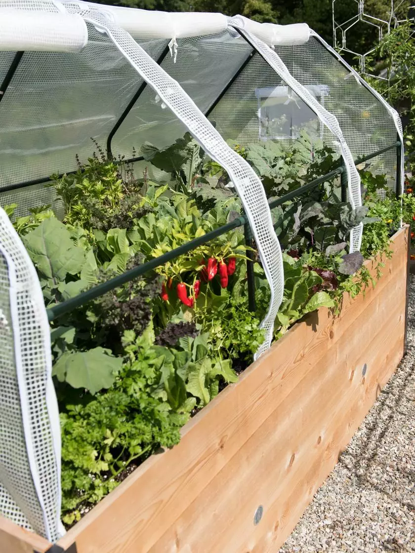 GSC Elevated Raised Bed, 4' X 8' 4 GSC Elevated Raised Bed, 4' X 8' - Image 2