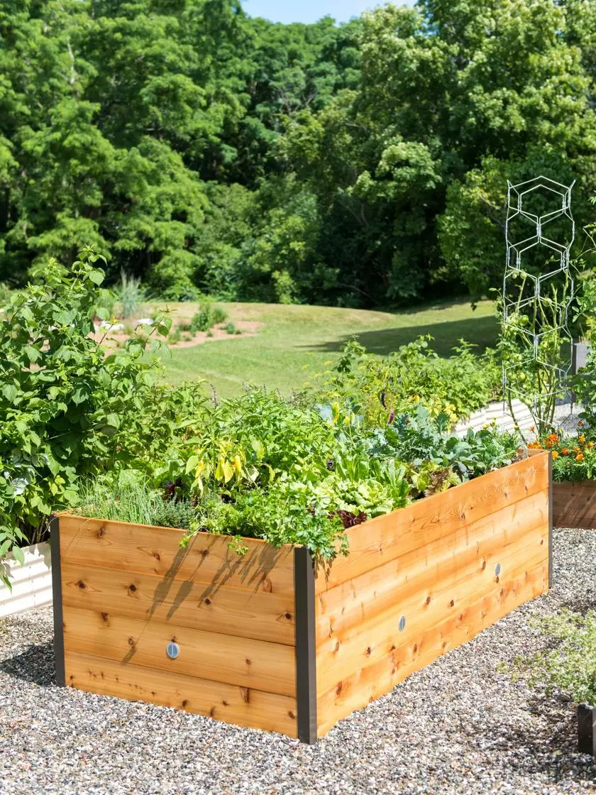 GSC Elevated Raised Bed, 4' X 8' 3 GSC Elevated Raised Bed, 4' X 8'