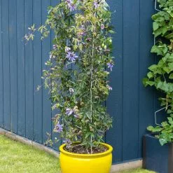 GSC Vertex Universal Tower