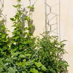 GSC Vertex Universal Tall Tower -Plant Supports Shop 8600015 0053 tif