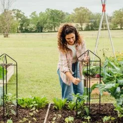 GSC Zenith Folding Garden Supports, Set Of 2 -Plant Supports Shop 8600073 324 tif