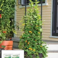 GSC Gardener’s Victory Self-Watering Planter Garden With Vine Trellis