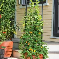 GSC Gardener’s Victory Self-Watering Planter Garden With Vine Trellis -Plant Supports Shop 8600175 0733 tif