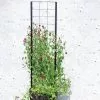 GSC Gardener’s Victory Self-Watering Planter With Vine Trellis