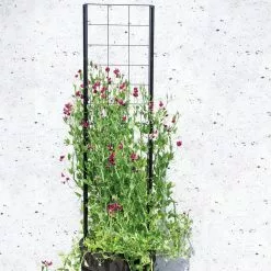 GSC Gardener’s Victory Self-Watering Planter With Vine Trellis