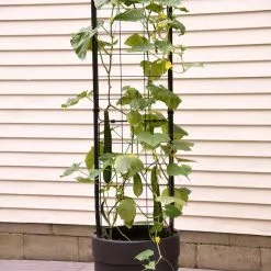 GSC Gardener’s Victory Self-Watering Planter Garden With Vine Trellis -Plant Supports Shop 8600177 9876 tif