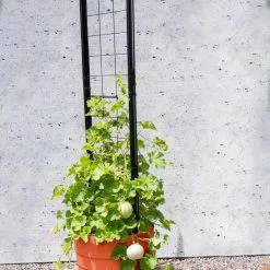 GSC Gardener’s Victory Self-Watering Planter Garden With Vine Trellis -Plant Supports Shop 8600178 05487 tif