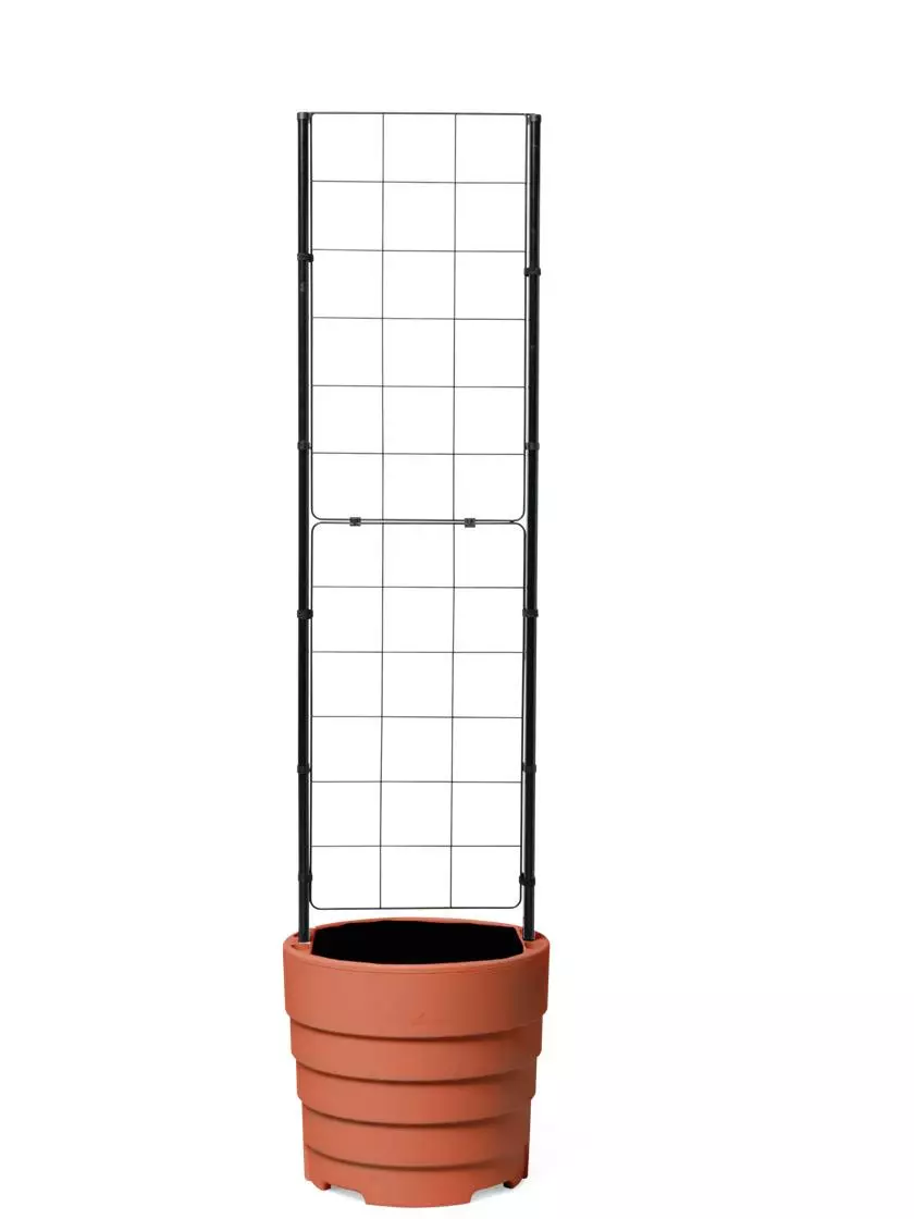 GSC Gardener’s Victory Self-Watering Planter With Vine Trellis 9 GSC Gardener’s Victory Self-Watering Planter With Vine Trellis - Image 7