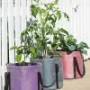 GSC Reinforced Colorful Grow Bags -Plant Supports Shop 8600229 19957 tif