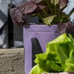 GSC Reinforced Colorful Grow Bags -Plant Supports Shop 8600230 20013 tif