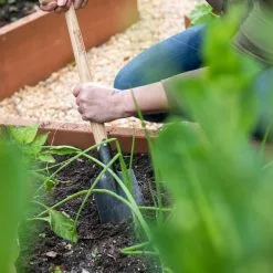 GSC Gardener’s Lifetime Perennial Spade With Short T-Handle