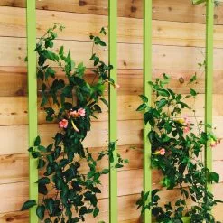 GSC Ina Modern Wall Trellis Sr. -Plant Supports Shop 8600510 01V tif