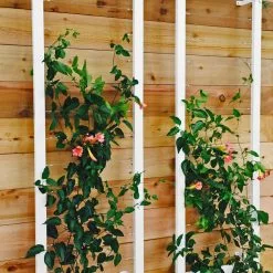 GSC Ina Modern Wall Trellis Sr. -Plant Supports Shop 8600510 03V tif