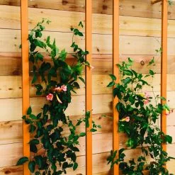 GSC Ina Modern Wall Trellis Sr. -Plant Supports Shop 8600510 04V tif