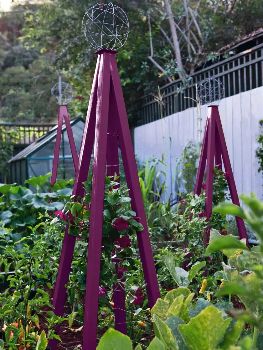 GSC Akoris Garden Tuteur Sr. 3 GSC Akoris Garden Tuteur Sr.