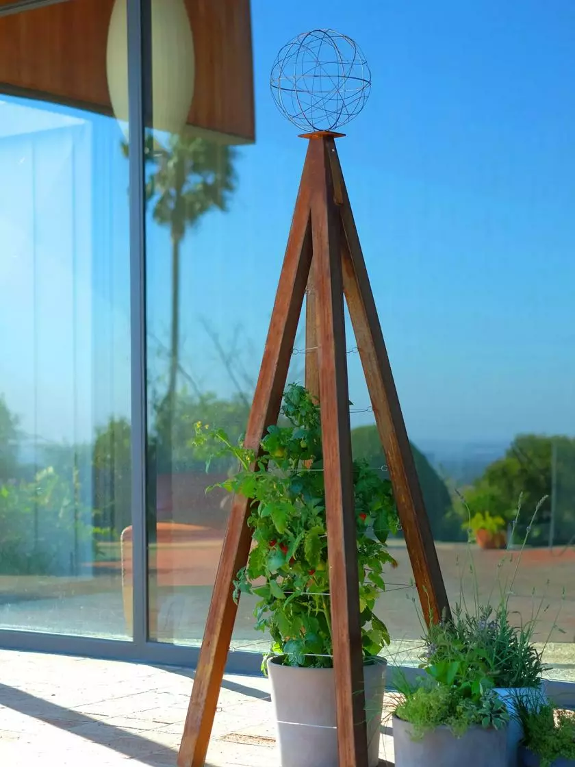 GSC Akoris Garden Tuteur Sr. 6 GSC Akoris Garden Tuteur Sr. - Image 4