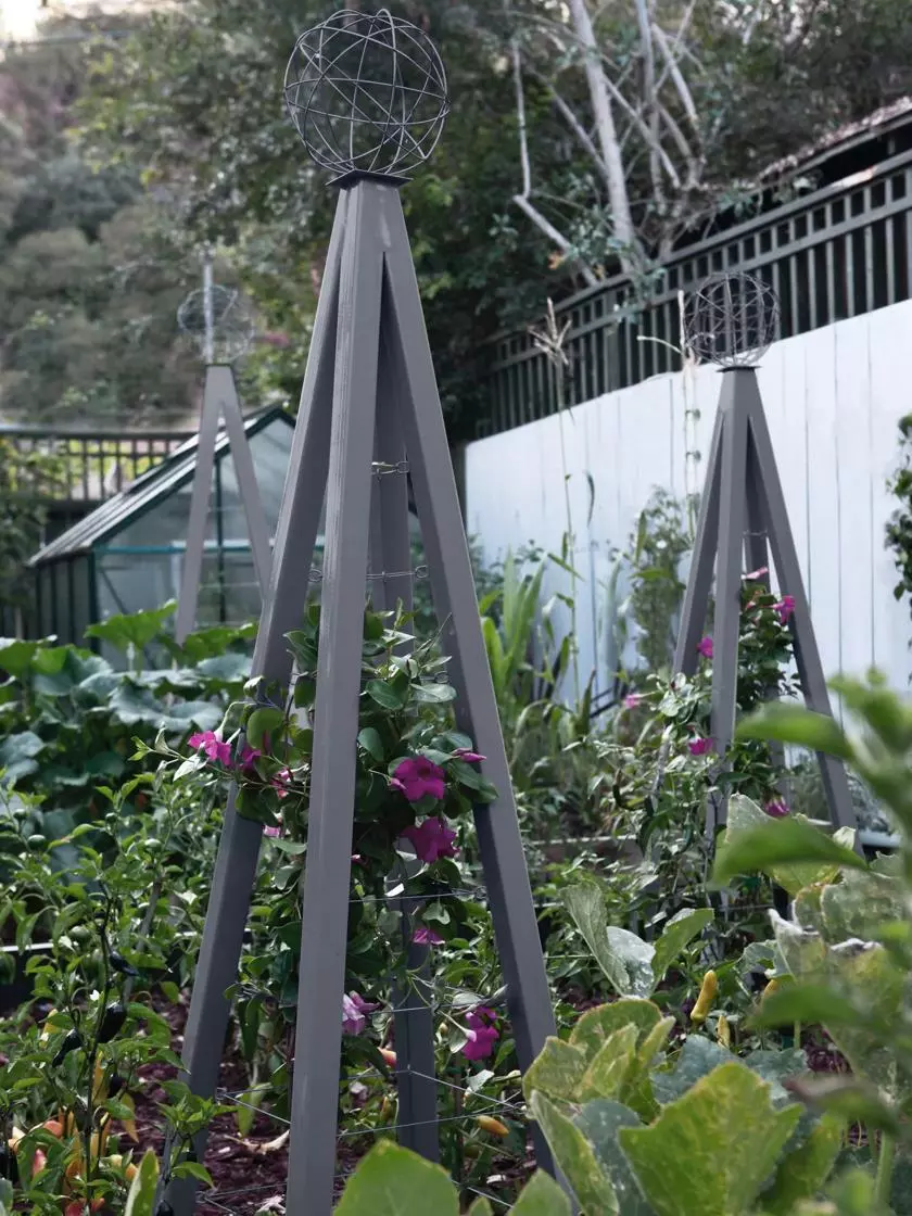 GSC Akoris Garden Tuteur Sr. 4 GSC Akoris Garden Tuteur Sr. - Image 2