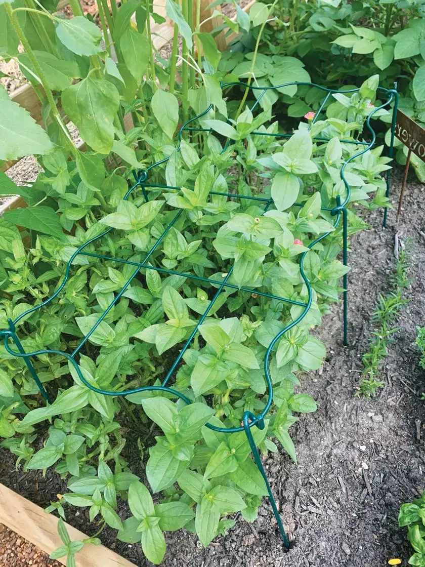 GSC Cut Flower Grid Support, Set Of 2 3 GSC Cut Flower Grid Support, Set Of 2