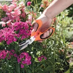 GSC Gardener's Multi Purpose Scissors -Plant Supports Shop 8608655 19551 tif