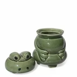 GSC Frog Fruit Fly Trap -Plant Supports Shop 8608744 2119 tif