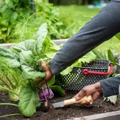 GSC Gardener's Lifetime Hori Hori Knife -Plant Supports Shop 8608888 0422 tif