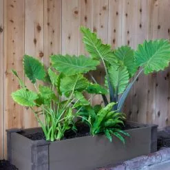 GSC Recycled Composite Raised Beds -Plant Supports Shop 8608933 20312 tif