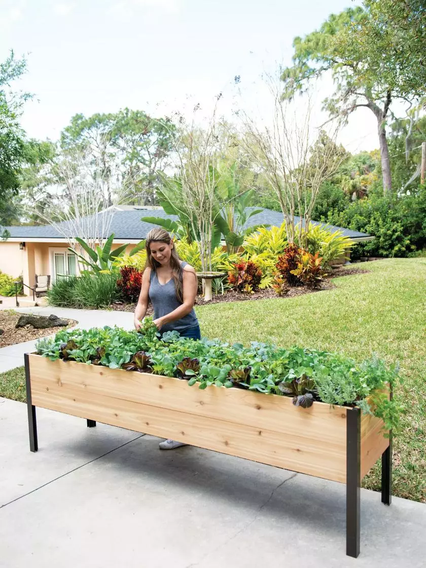 GSC Self-Watering Elevated Planter Box, 2' X 8' 3 GSC Self-Watering Elevated Planter Box, 2' X 8'