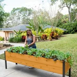 GSC Self-Watering Eco-Stained Elevated Planter Box, 2' X 8' 23 GSC Self-Watering Eco-Stained Elevated Planter Box, 2' X 8' -Plant Supports Shop 8608965 6069 tif