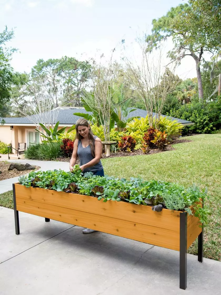 GSC Self-Watering Eco-Stained Elevated Planter Box, 2' X 8' 8 GSC Self-Watering Eco-Stained Elevated Planter Box, 2' X 8' - Image 6