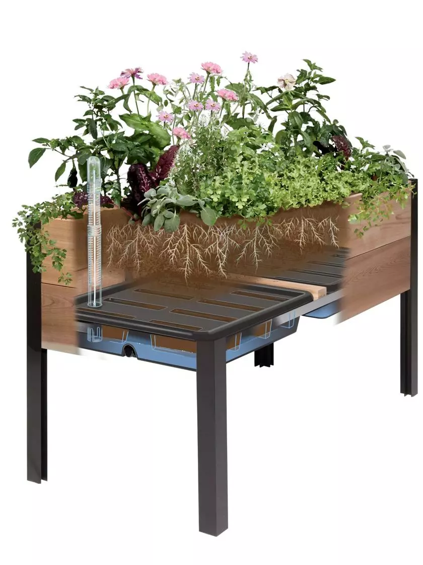 GSC Self-Watering Eco-Stained Elevated Planter Box, 2' X 8' 9 GSC Self-Watering Eco-Stained Elevated Planter Box, 2' X 8' - Image 7