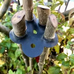 GSC Garden Cane Connects, Set Of 6 -Plant Supports Shop 8609019 01V tif