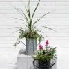 GSC Metal Bucket Planters -Plant Supports Shop 8609086 5623 tif