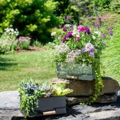 GSC Metal Caddy Planter -Plant Supports Shop 8609087 6426 tif